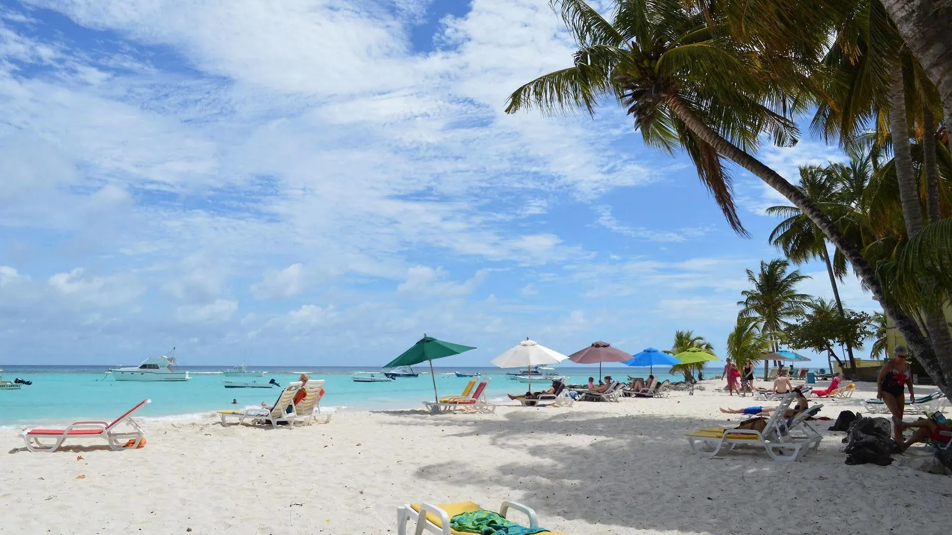 Tropical Gecko Studio Silver Sands فندق