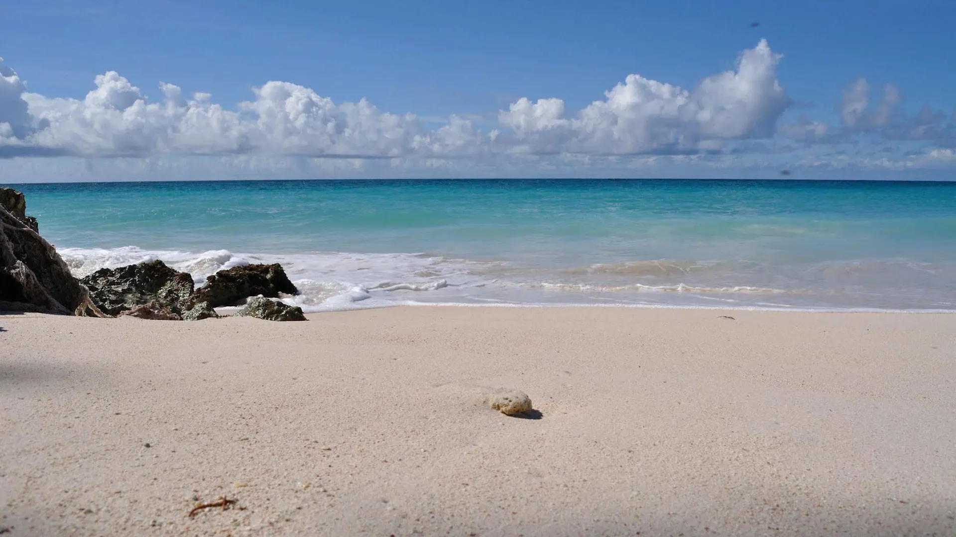 فندق Tropical Gecko Studio Silver Sands